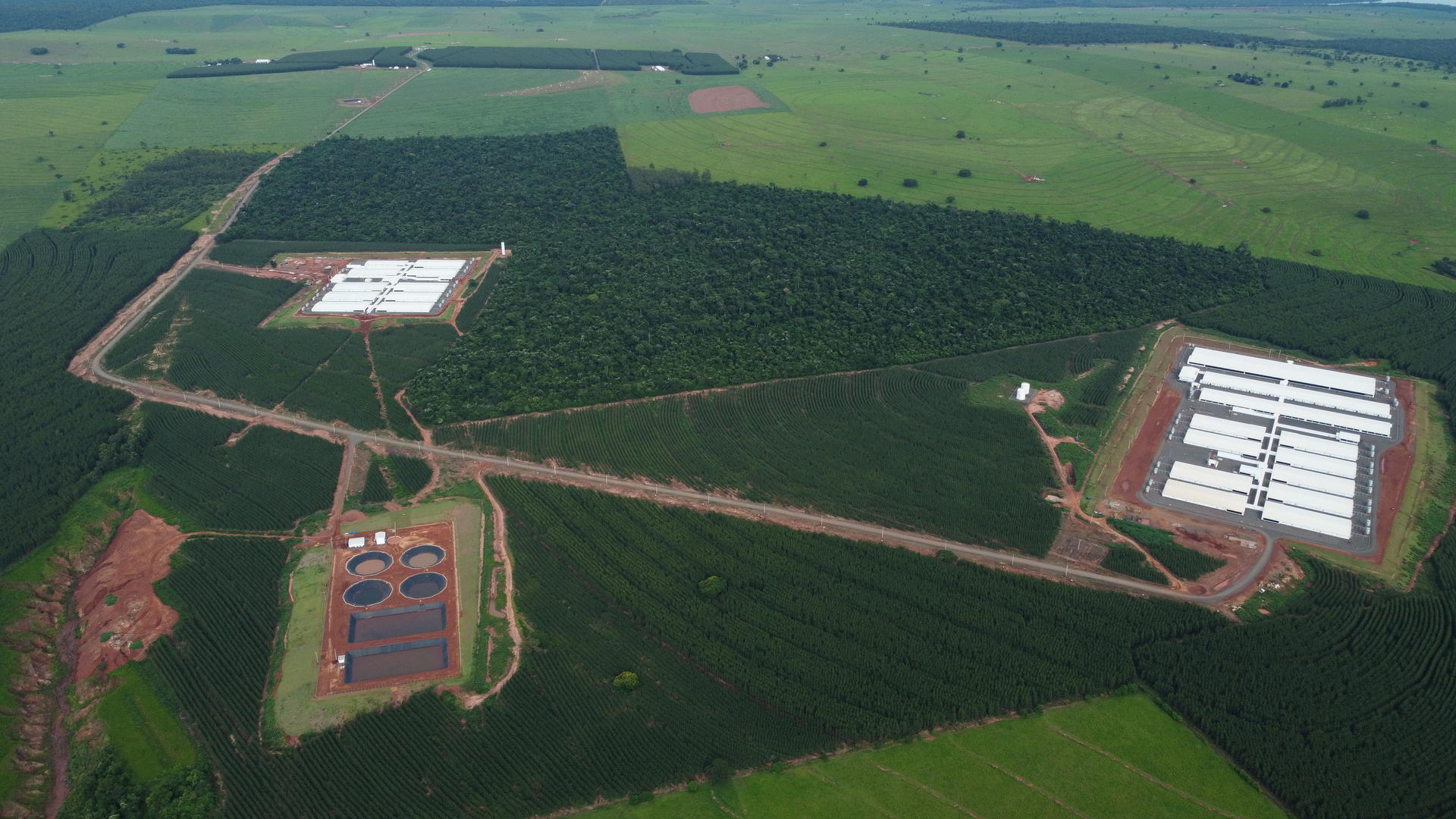 Midfelt Agro foi utilizado em todos os forros da granja (Foto: Matheus Lüdtke)