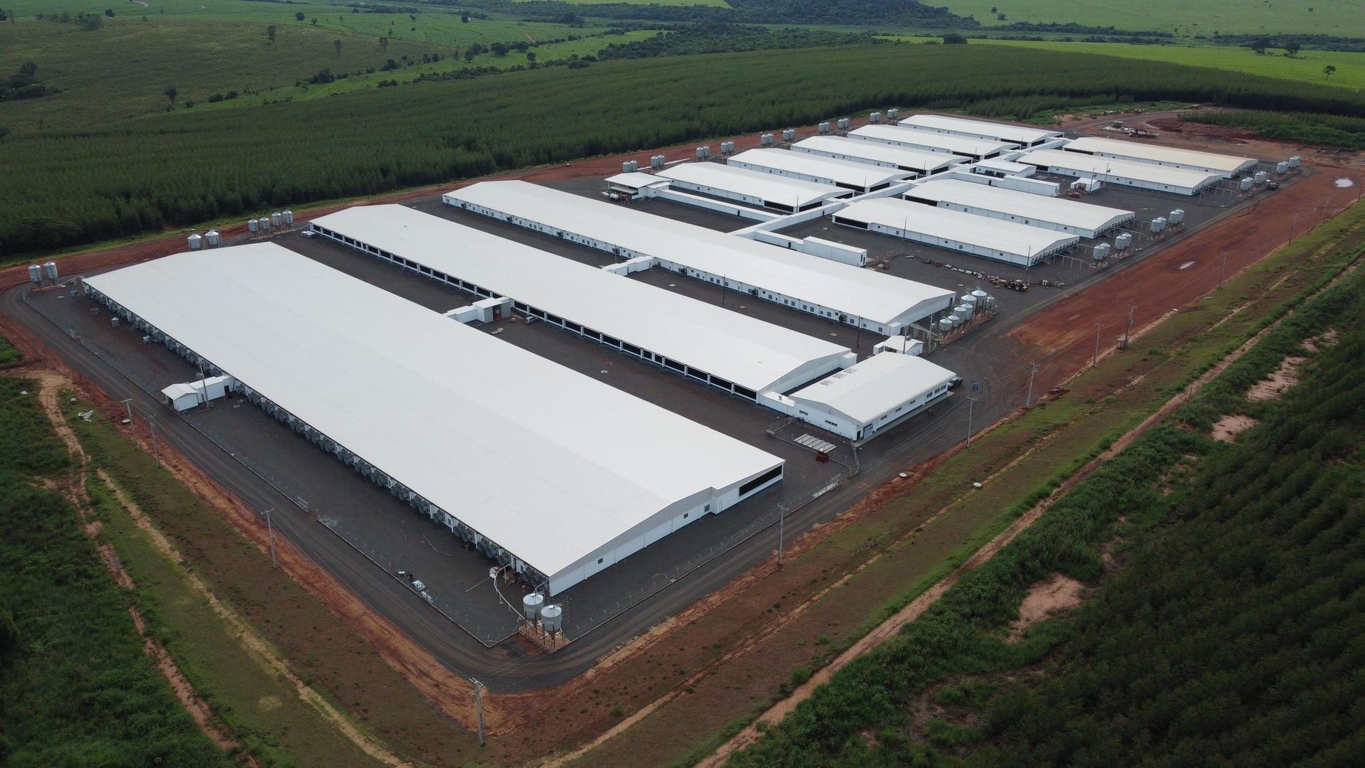 O Núcleo Genético Gênesis tem mais de 70 mil m² (Foto: Matheus Lüdtke)